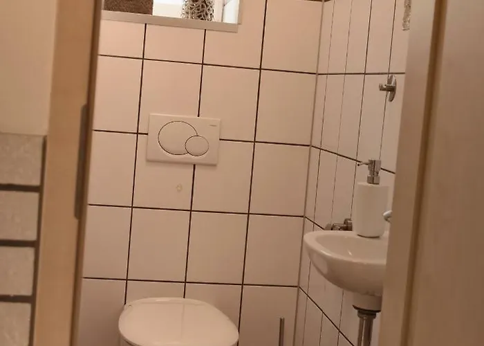 Leon هاينسبرغ